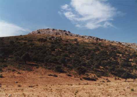 Una vista del cerro desde el SE