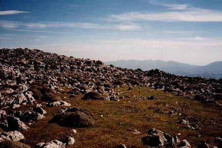 Aspecto de la meseta de la cumbre de sierra Cabrilla, con el característico puzle de pastizal, piornos y afloramientos de caliza.