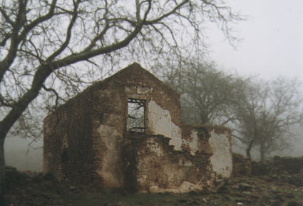 Ruinas del cortijo de los asesinatos en un día de niebla tal como el que aprovechó Flores Arrocha para acercarse a sus víctimas.